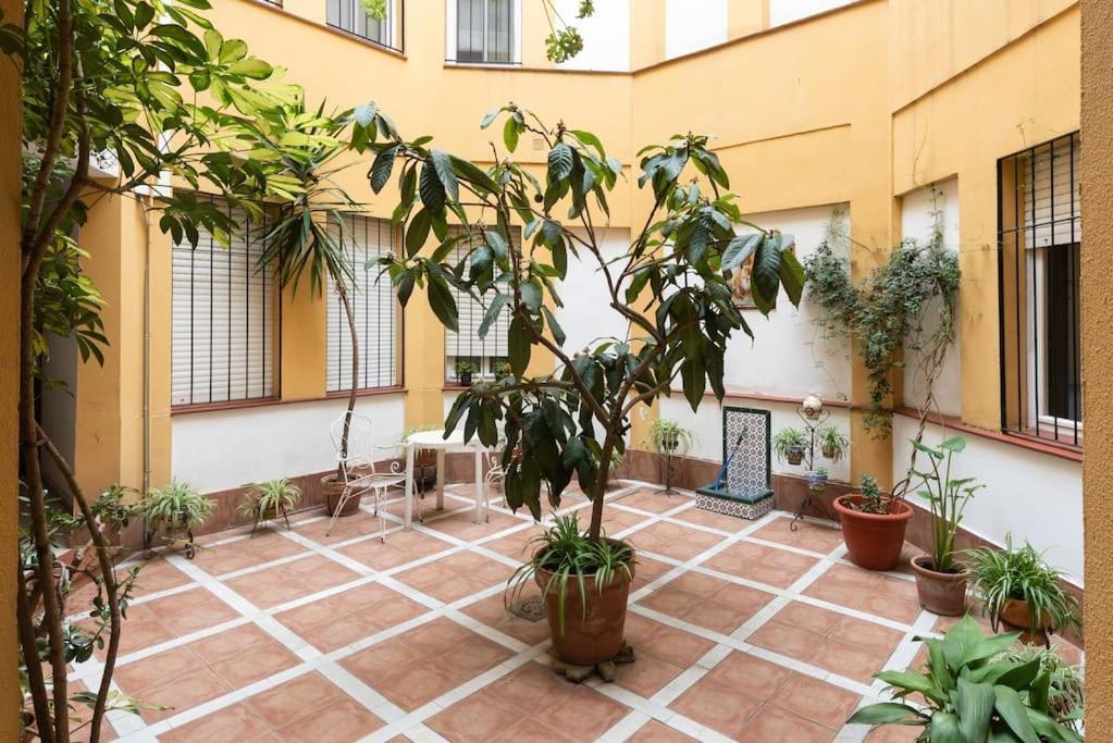 Mia Suite. Center Of Sevilla Exterior foto